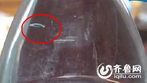 济宁市民买的农夫山泉中，有个蓝色的漂浮物。