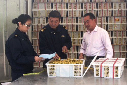 聊天工具大用处——勐腊海关利用微信群落实税收优惠政策支持中小微企业